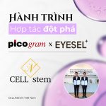 Cellinstem x eyesel