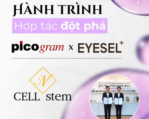 Cellinstem x eyesel