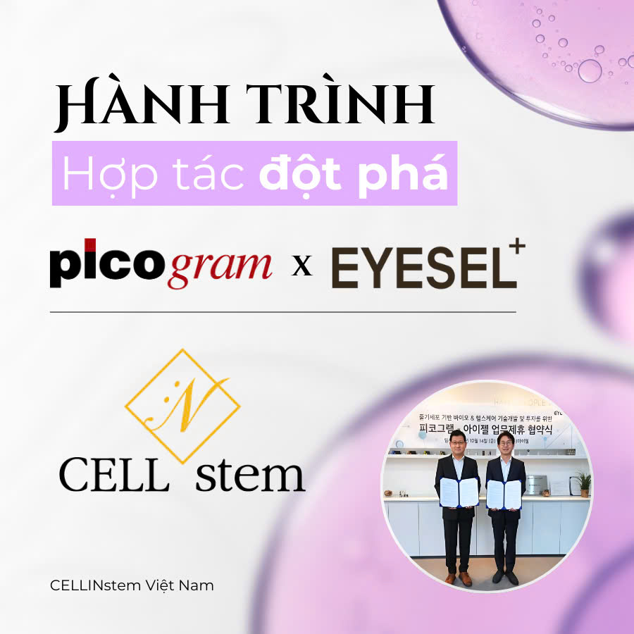 Cellinstem x eyesel