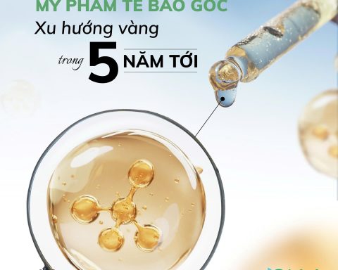 xu hướng mỹ phẩm