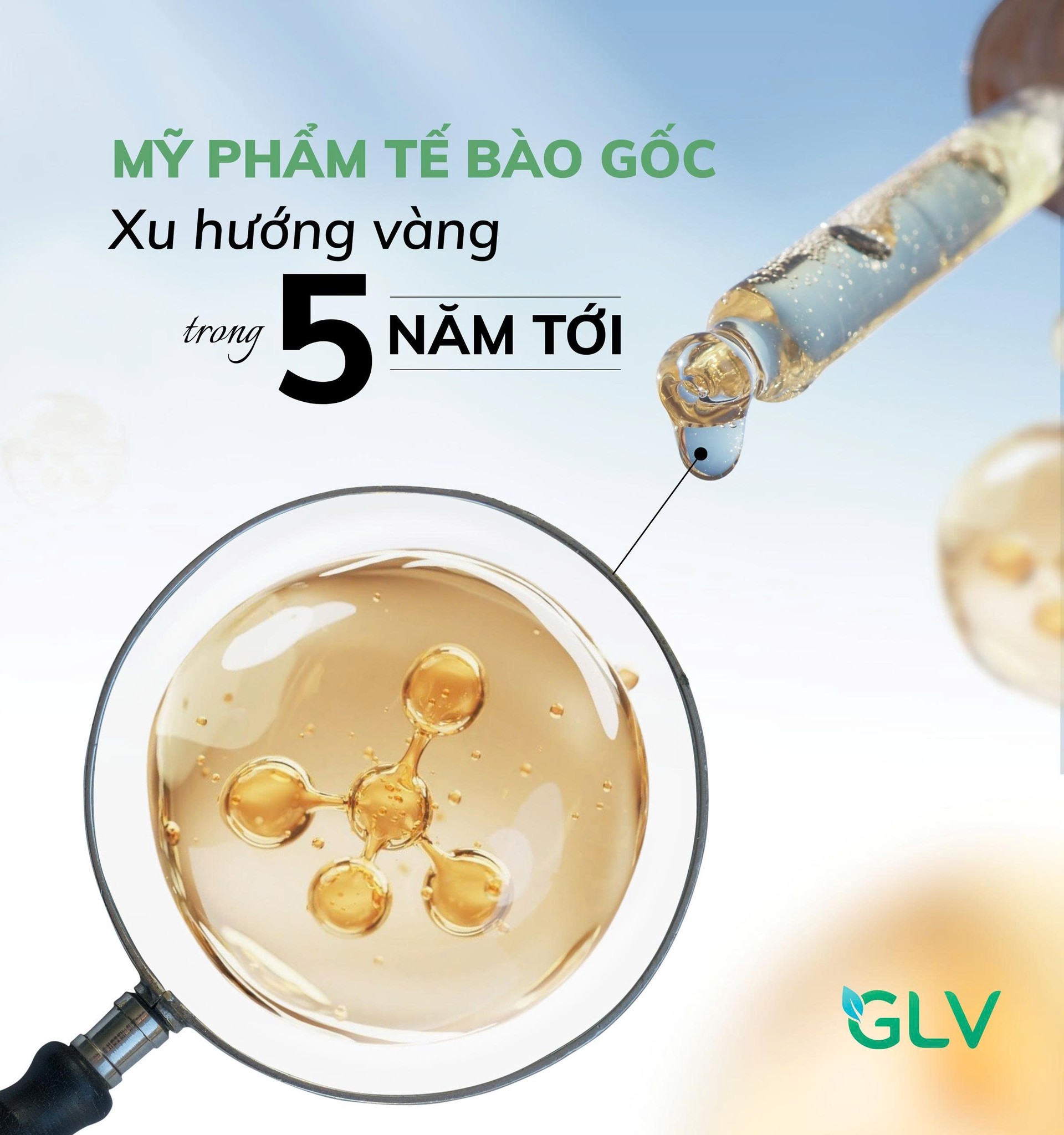 xu hướng mỹ phẩm